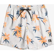 Quiksilver EQYJV04002-WDW6 Mix 17 M Jamv Erkek Deniz Şortu