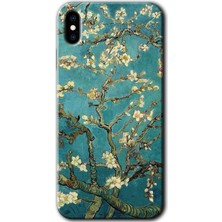 MRC İletişim iPhone Xs Max Kılıf Hd Desen Baskılı Arka Kapak + Temperli Cam - Almond Blossom