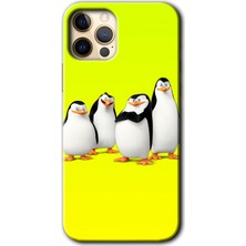 MRC İletişim iPhone 12 Pro Max Kılıf Hd Desen Baskılı Arka Kapak + Temperli Cam - Penguenler