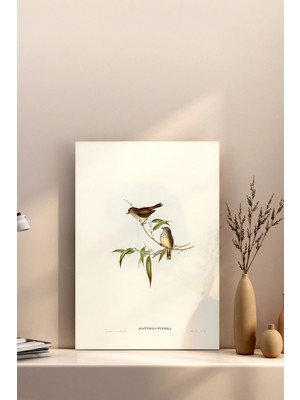 30X40 Poster Çerçevesiz Premium Bristol Kağıda Uv Baskı