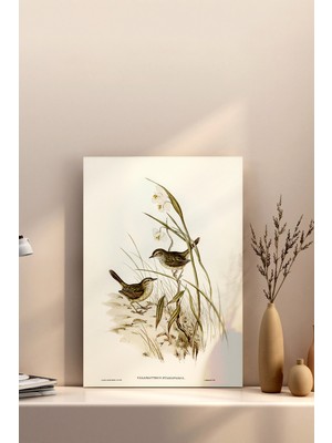 50X70 Poster Çerçevesiz Premium Bristol Kağıda Uv Baskı