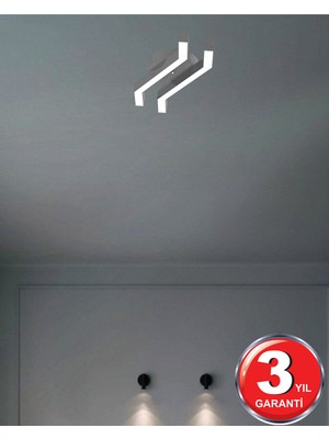 Hegza Lighting Pesca -Ledli Modern Plafonyer LED Avize Salon Mutfak Oturma Odası Antre Hol Çocuk Odası LED