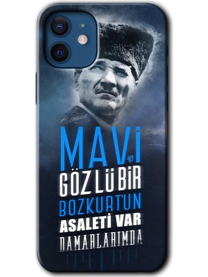 MRC İletişim iPhone 12 Kılıf Hd Desen Baskılı Arka Kapak + Temperli Cam - Bozkurt Atatürk