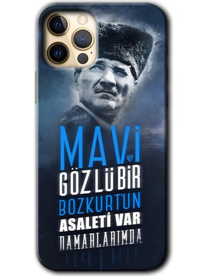 MRC İletişim iPhone 11 Pro Max Kılıf Hd Desen Baskılı Arka Kapak + Temperli Cam - Bozkurt Atatürk