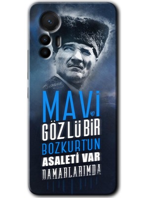 MRC İletişim Xiaomi Mi 12 Lite Kılıf Hd Desen Baskılı Arka Kapak - Bozkurt Atatürk