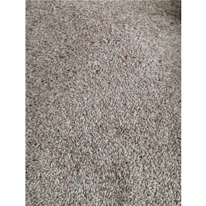 Yalçın Baba Yem Mama 1 kg Sade Aspur Kuş Yemi - Muhabbet Kuşu - Papağan - Kanarya -Saka - Serçe - Güvercin - Kumru - Yem