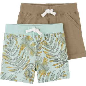 Erkek Bebek Şort Set 2'li Paket Yeşil