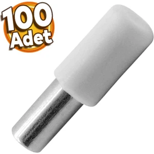 Raf Pimi Plastik Başlı Cam Tutucu Çivisi Mobilya Dolap Pimi Beyaz (100 Adet)