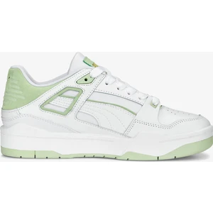 Slipstream 388549.07