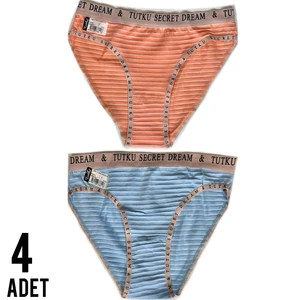 Kadın Diana Bikini Külot 4'lü Çok Renkli Paket