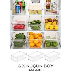 Buzdolabı Organizer Düzenleyici Şeffaf 3 Adet Küçük Boy Sebze Meyve Saklama Kabı Kapaklı