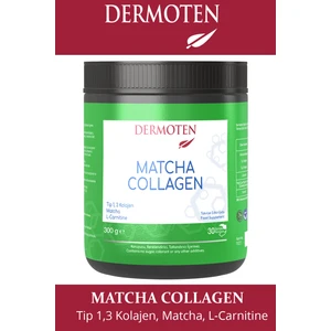 Matcha  Tip 1 - Tip 3  - Matcha - L-Karnitin 30 x 10.000 Mg Toz