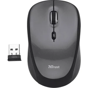 24549 Sessiz Kablosuz Mouse Gri