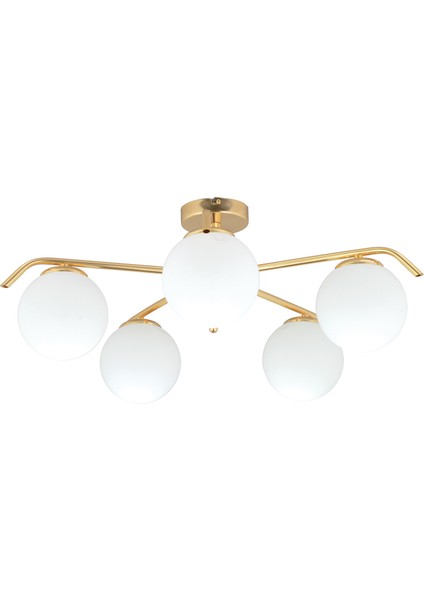 Diaspor 5li Gold Modern Sarkıt Genç Odası Yatak Odası Retro Salon Avize