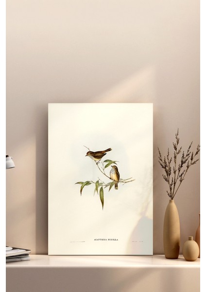 50X70 Poster Çerçevesiz Premium Bristol Kağıda Uv Baskı