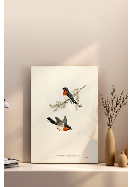 20X20 Poster Çerçevesiz Premium Bristol Kağıda Uv Baskı