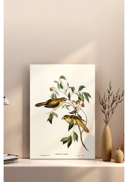 20X20 Poster Çerçevesiz Premium Bristol Kağıda Uv Baskı