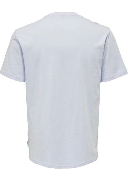 Only & Sons Regular Fit Bisiklet Yaka Erkek T- Shirt