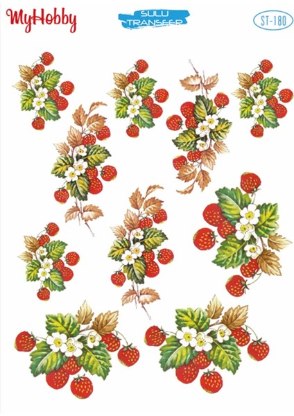 St 180 Kırmızı, Çilek Desenli Sulu Transfer 25X35