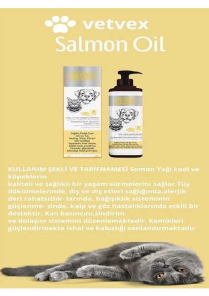 Salmon Oil -Omega3 Kedi ve Köpekler Için Sağlıklı Parlak Deri ve Tüy Besleyici 100GR Malt