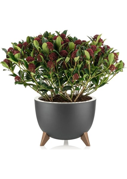 EminHome Alya Plastik Ufo Ayaklı Saksı Küçük Boy 19.5X14.5 cm 2 Lt fiyatları