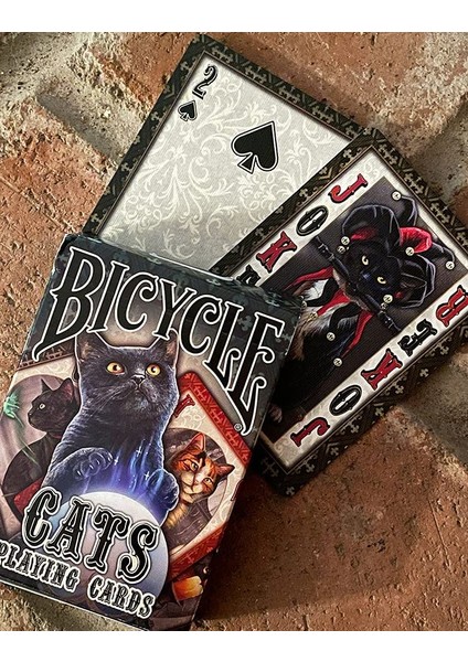 Bicycle Cats Kediler Premium Oyun Kağıdı Kartı Iskambil Kartları Destesi Koleksiyonluk