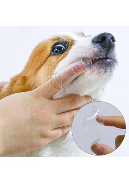 Kedi ve Köpek Parmak Diş Fırçası Saklama Kutulu Kolay Kullanımlı Evcil Hayvan Diş Bakım Fırçası