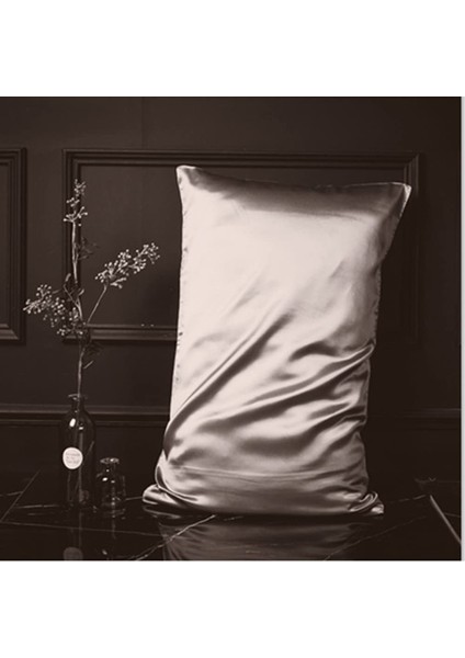 48 x 74 cm Ipek Yastık Kılıfı Kahve (Yurt Dışından) fiyatları