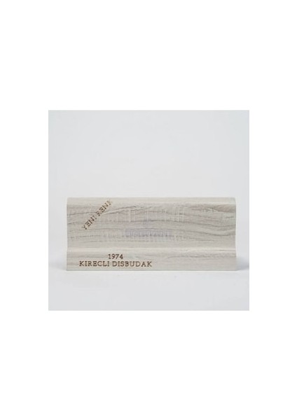 6 cm Süpürgelik Kireçli Dişbudak (1.25 Mt-2 Boy)