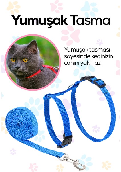 Kedi Göğüs Tasması Gezdirme Seti Pembe