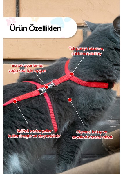 Kedi Göğüs Tasması Gezdirme Seti Pembe