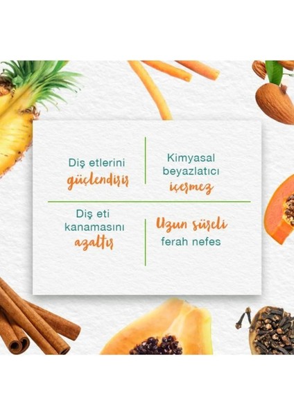 Stain Away Leke Karşıtı Diş Macunu, Bitkisel, Vejetaryen, Florürsüz, Parabensiz, 75 ml 3 Adet