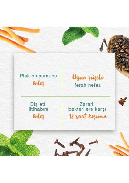 Mint Fresh Ferahlatıcı Diş Macunu, Bitkisel, Vejetaryen, Florürsüz, Parabensiz, 75 ml 3 Adet