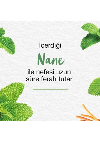 Mint Fresh Ferahlatıcı Diş Macunu, Bitkisel, Vejetaryen, Florürsüz, Parabensiz, 75 ml 3 Adet