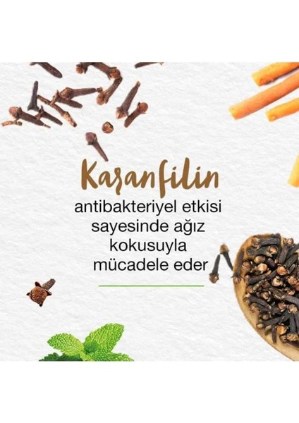 Mint Fresh Ferahlatıcı Diş Macunu, Bitkisel, Vejetaryen, Florürsüz, Parabensiz, 75 ml 3 Adet