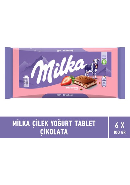 Çilek Yoğurt Tablet Çikolata 100 gr - 6 Adet