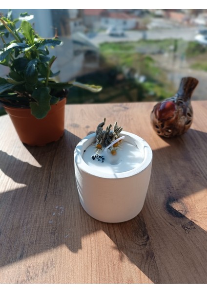 Urania Soya Mum Doğal Dekoratif Aromaterapi Mum