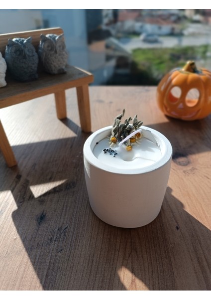 Urania Soya Mum Doğal Dekoratif Aromaterapi Mum fiyatları