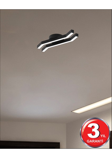 Hegza Lighting Pesca -Ledli Modern Plafonyer LED Avize Salon Mutfak Oturma Odası Antre Hol Çocuk Odası LED