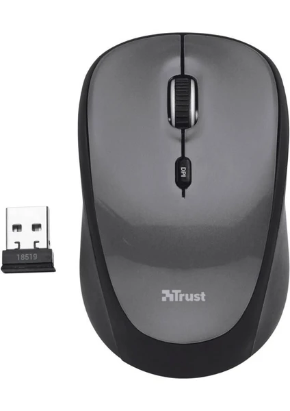 24549 Sessiz Kablosuz Mouse Gri