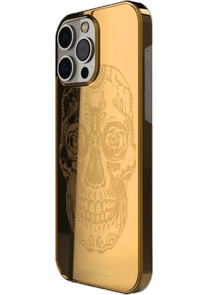 Apple IPhone 12 Pro Kuru Kafa Gold Kılıf