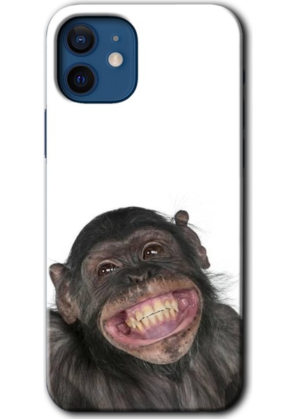 iPhone 12 Mini Kılıf Hd Desen Baskılı Arka Kapak + Temperli Cam - Şıpsevdi Aşk