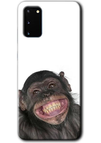 Samsung Galaxy S20 Kılıf Hd Desen Baskılı Arka Kapak + Temperli Cam - Şıpsevdi Aşk
