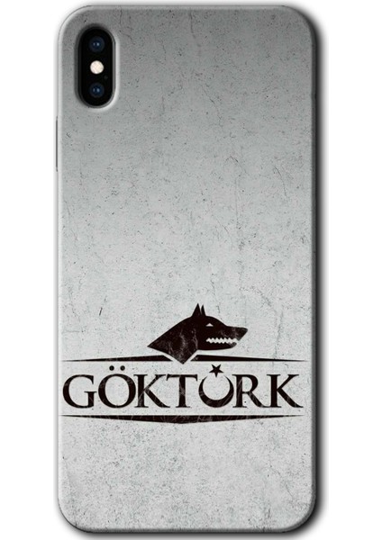 iPhone Xs Kılıf Hd Desen Baskılı Arka Kapak + Temperli Cam - Göktürk