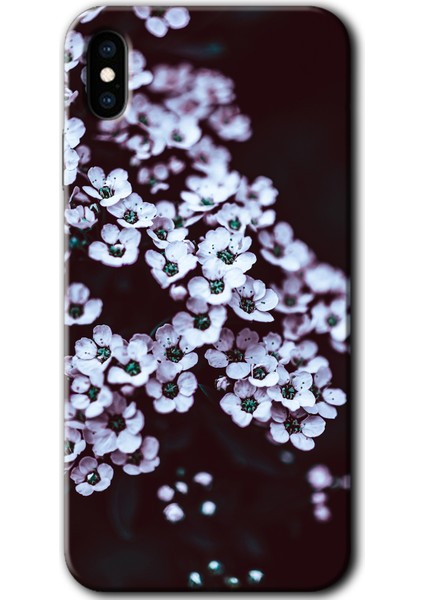 iPhone Xs Kılıf Hd Desen Baskılı Arka Kapak + Temperli Cam - Beyaz Çiçek