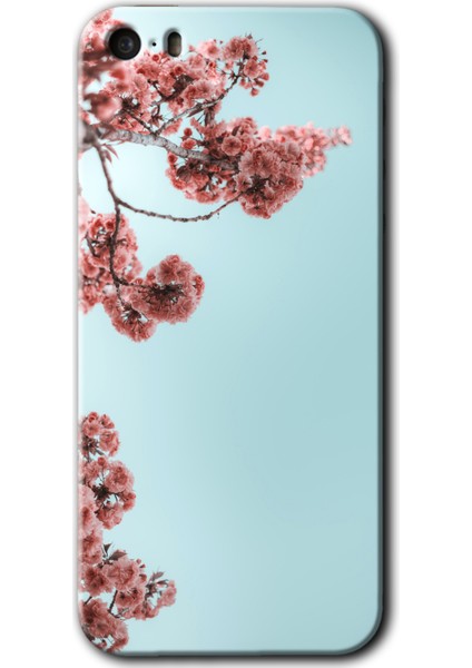 iPhone 5 Kılıf Hd Desen Baskılı Arka Kapak + Temperli Cam - Japon Çiçeği