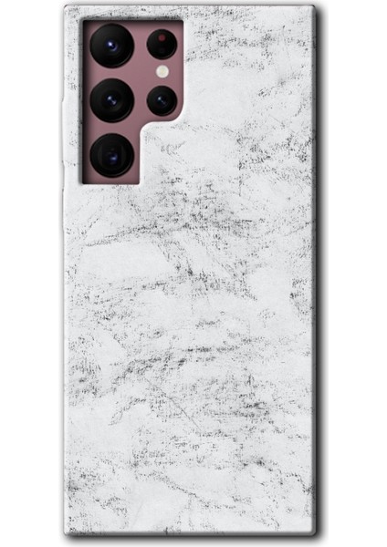 Samsung Galaxy S22 Ultra Kılıf Hd Desen Baskılı Arka Kapak + Temperli Cam - Art Design 28