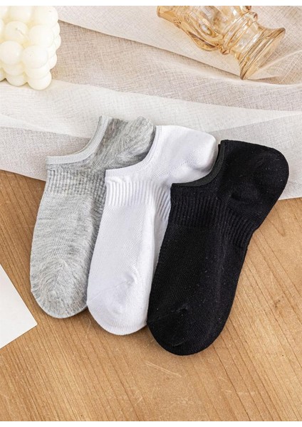 Black Arden Socks Bilek Destekli Basic Patik Çorap 7 Çift