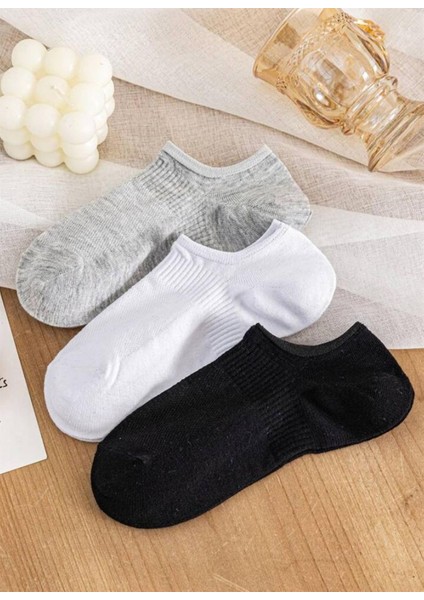 Black Arden Socks Bilek Destekli Basic Patik Çorap 7 Çift