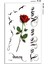 Kırmızı Gül ve Yazılı Dövme Mini Tattoo 2